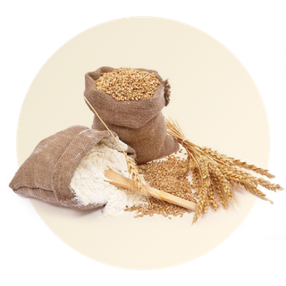 آردها و مواد اولیه